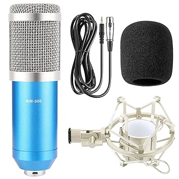 Amazon.co.jp: コンデンサーマイクケーブル録音マイク、プロ